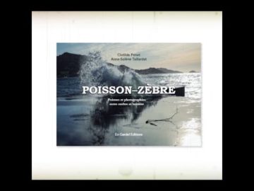 "Poisson-zèbre" - crowdfunding